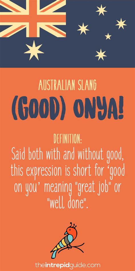 Australian Slang Hilarious Australian Expressions You Should Use