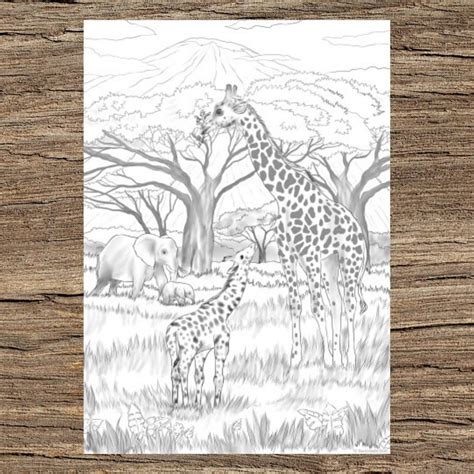 Safari Printable Adult Coloring Page From Favoreads Etsy