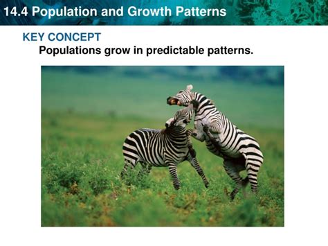 Ppt Key Concept Populations Grow In Predictable Patterns Powerpoint