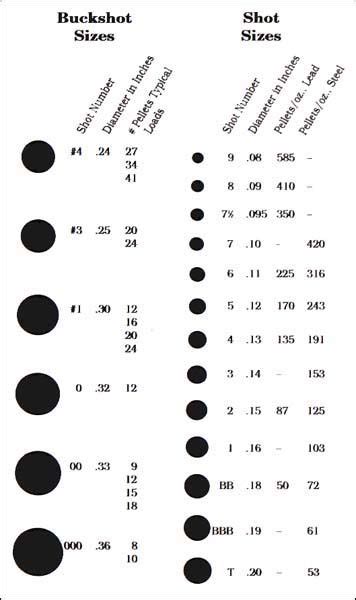 Ever wondered exactly what is inside of shotgun shells? 12 Gauge Shotshell Sizes - Bing Images | Reloading ammo ...