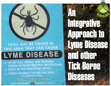 An Integrative Approach To Lyme Disease And Other Tick Borne Diseases