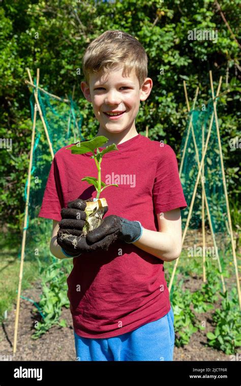 Nine Year Old Boy Holding A Seedling That Is Ready To Be Planted In A