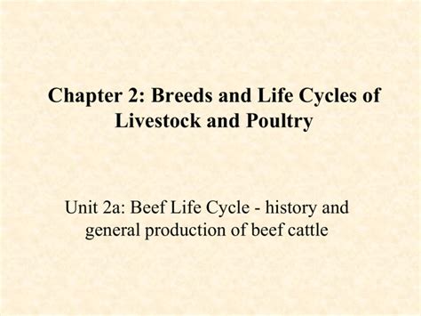 Chapter 2 Breeds And Life Cycles Of Livestock And Poultry