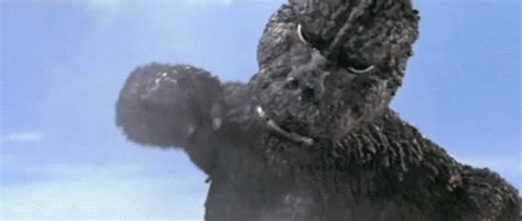 Leaked ccxp footage from the upcoming godzilla vs. gojira.gif (500×213) | ゴジラ, 東宝