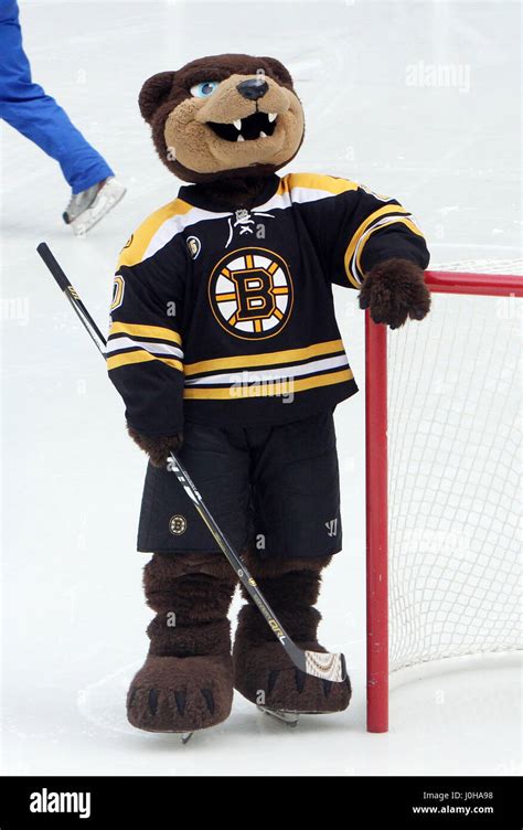 New York Ny Usa 13th Apr 2017 Boston Bruins Mascot Pictured At Nbc