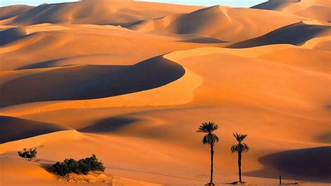 Nice Picture Collection Of Desert ~ Allfreshwallpaper