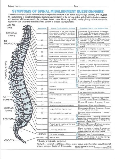 Chiropractic Chart For More Information Go To