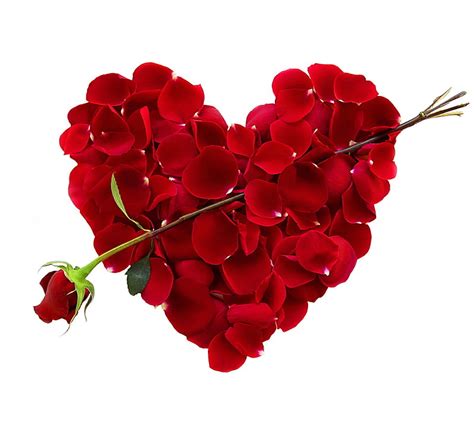 Petal Heart Love Petals Romantic Rose Hd Wallpaper Peakpx