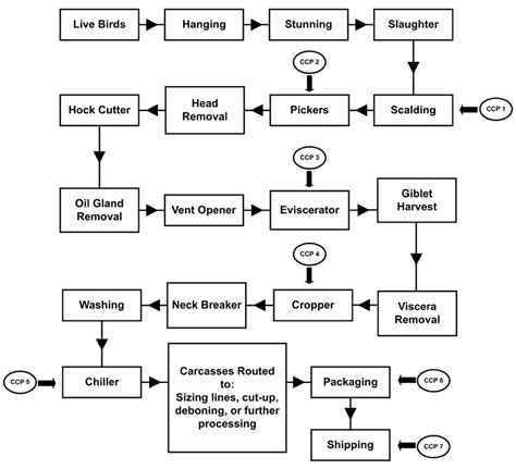 Example Of Poultry Processing Haccp Flow Diagram Download Scientific