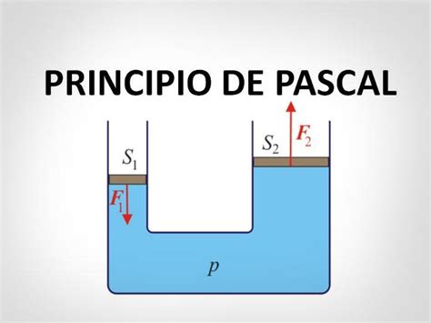 Qual è Il Principio Di Pascal Definizione E Significato Scienza 2024