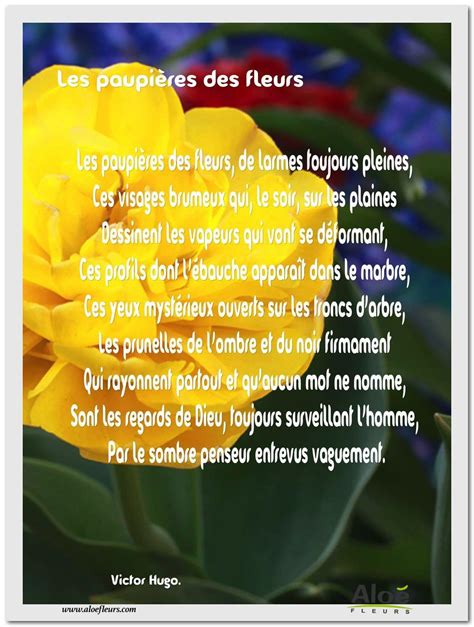Les Po Mes En Fleurs Poeme Po Mes Fran Ais Poeme Damour