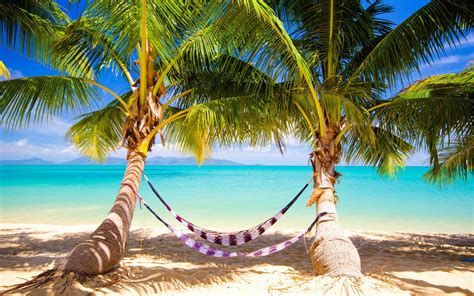 Tropics Sand Beach Ocean Palm Trees Hammocks Wallpaper Beach