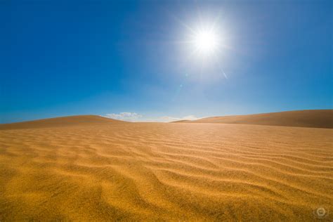 Desert Background High Quality Free Backgrounds