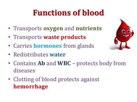 Pathology Of Blood And Urine