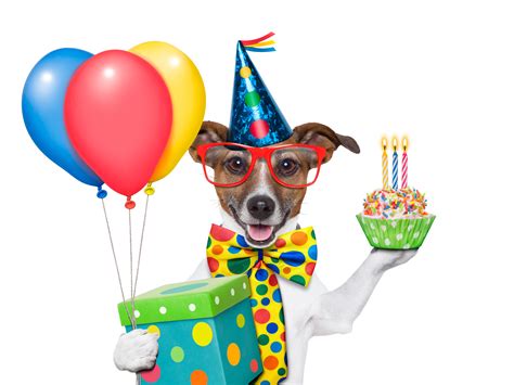 Pixlith Happy Birthday Dog Wallpaper