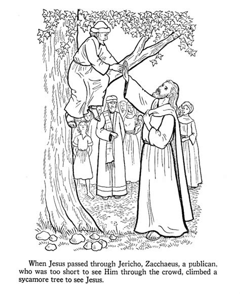 Zacchaeus Coloring Pages Coloring Home