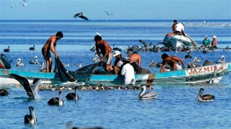 La Secretaría De Pesca Publica La Lista Definitiva De Pescadores De