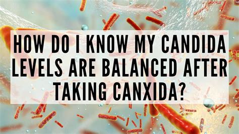 How Do I Know My Candida Levels Are Balanced After Taking Canxida