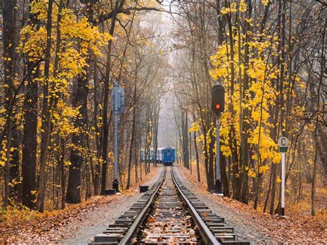5 Scenic Fall Foliage Train Journeys Around The World Times Of India
