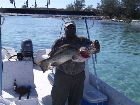 Bimini Bahamas Fishing Report
