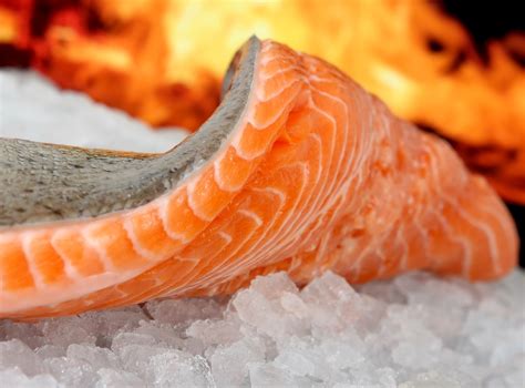 Frischen Fisch richtig filetieren