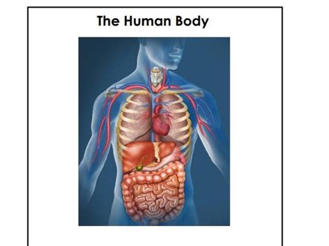 Anatomy And Physiology Workbook Teaching Resources