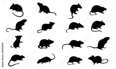 Stockvector Mice Mouse Silhouette Set Vector Animals Icons Adobe Stock