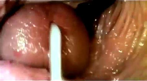 Inside Vagina Porn Inside And Vagina Videos Spankbang