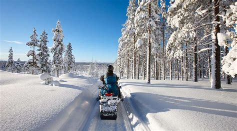 Snowmobiling In Lapland