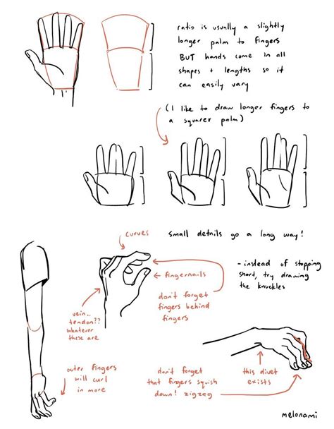 Image Hand Drawing Reference Drawing Tips Drawing Ideas Anatomy