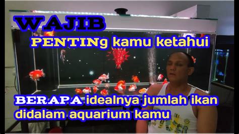 Cara Menghitung Idealnya Jumlah Ikan Didalam Aquarium Dan Debit Air