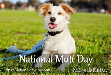 National Mutt Day 2023 Monday July 31