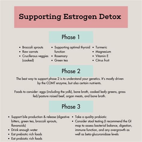 How To Support Estrogen Detox Hormone Healing Rd
