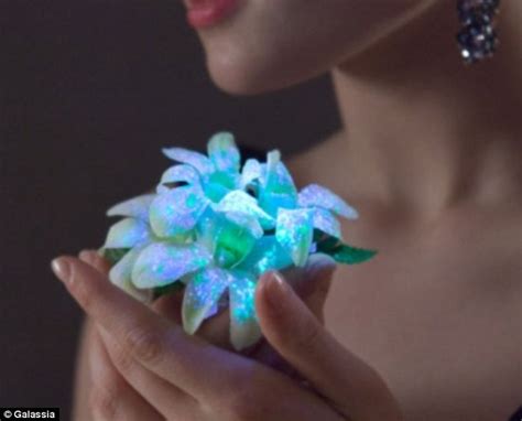 Glow Your Own Flowers Scientists Create Secret Formula To Make Plants