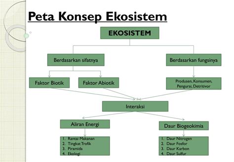 Pengertian Ekosistem Dan Komponen Penyusun Ekosistem Komponen Biotik