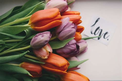 5 Flowers That Symbolize Love Avas Flowers