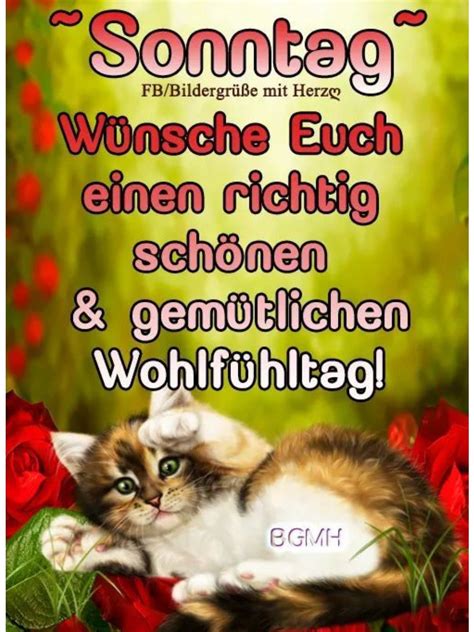 Denn am sonntag ist eigentlich alles zu stress und hektik sind heut tabu. Pin von Heinrich Thoben auf Sonntag in 2020 | Guten morgen ...