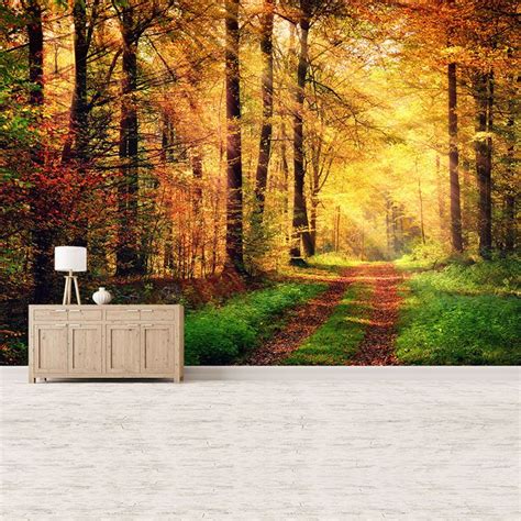 Sunlight Autumn Forest Path Wall Mural Woods Trees Photo Wallpaper