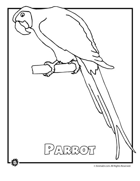 Rainforest Animals Coloring Pages Free Coloring Home