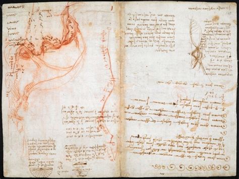 Leonardo Da Vincis Visionary Notebooks Now Online Browse 570
