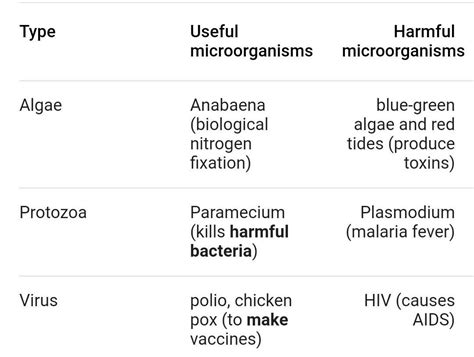 Harmful Microorganisms With Names