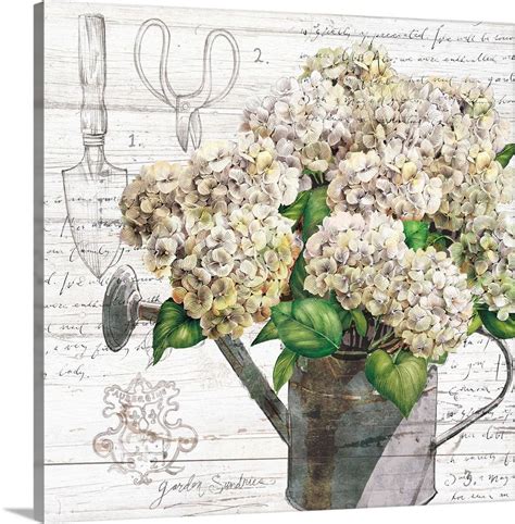 Hydrangeas are generally insect and disease free plants. Hydrangea Watering Can in 2021 | Hydrangea, Art decor ...