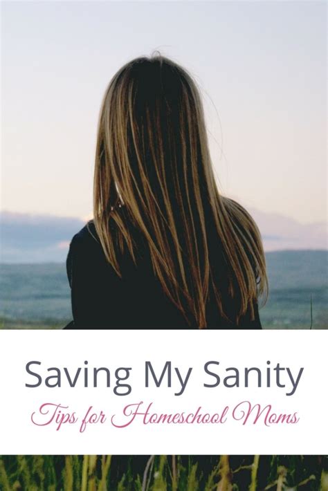 Saving My Sanity Homeschool Tips Janelle Knutson