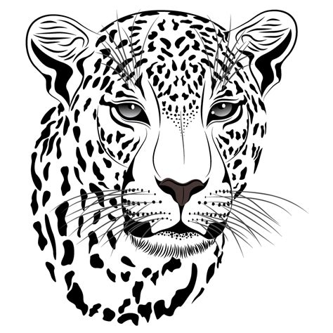Free Black Leopard Cliparts Download Free Black Leopard Cliparts Png