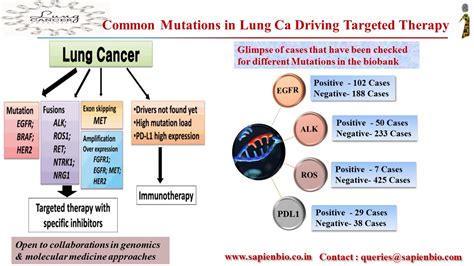 Sapien Biosciences Mutations In Lung Cancer Driving Targeted Therapy