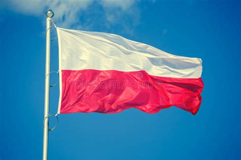 Polish Flag On Blue Sky Background Stock Image Image Of Independence