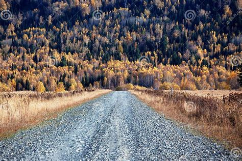 Old Country Road In Autumn Mountain Forest Stock Image Image Of