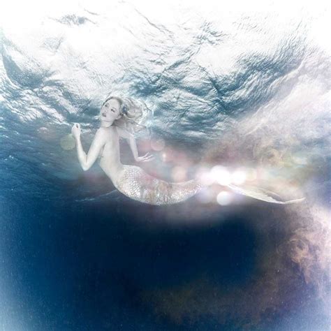 Mermaids Swim In The Oceans And Seahorses Glide Across It Mermaid