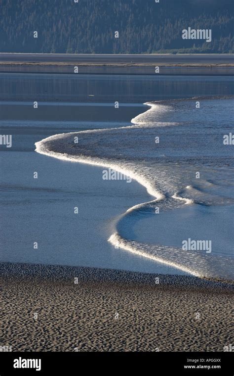 Alaska Cook Inlet Turnagain Arm Bore Tide Resulting From Large Tides In