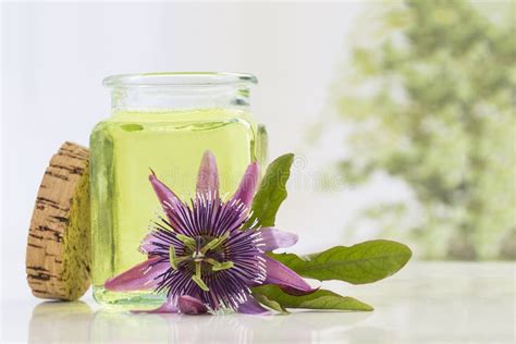 Passion Flower Aromatherapy Essential Oil Stock Image Image Of Beauty